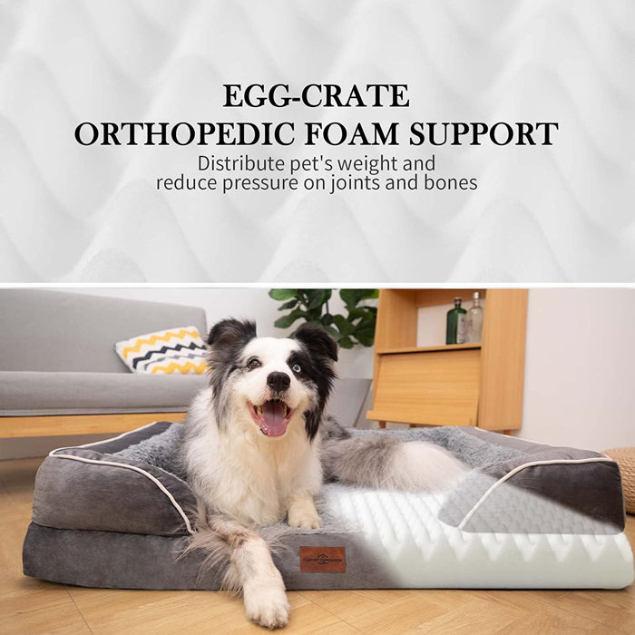 Tucker Murphy Pet™ Waterproof Orthopedic Dog Bed Foam Dog Beds For